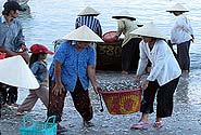  Photo by Flickr user, Flydime, Creative Commons Attribution-No Derivative Works 2.0 Generic
