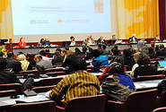 Photo by  © UNISDR https://www.unisdr.org/archive/34986