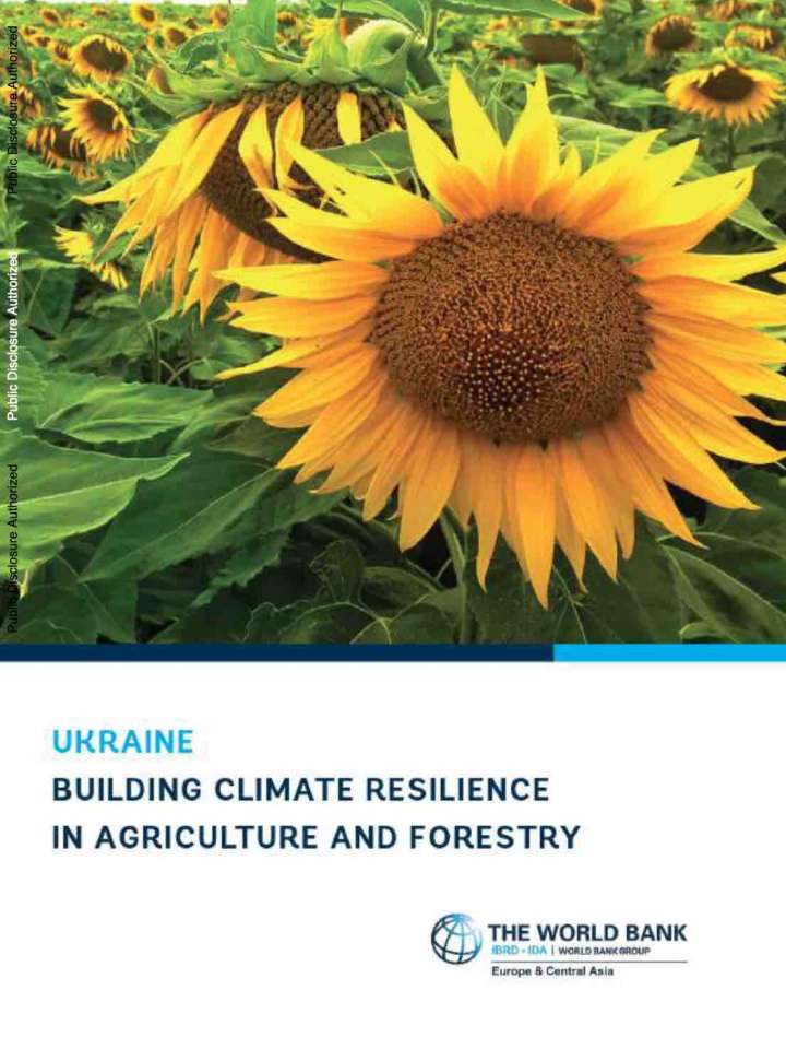 This image shows the cover of the publication which displays a sunflower field.