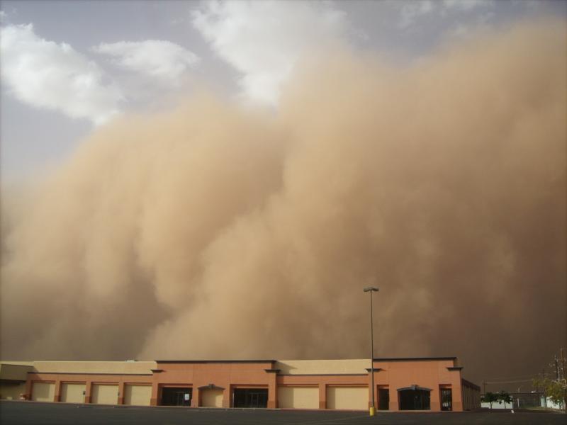 Protecting People From Sand And Dust Storms Preventionweb Net