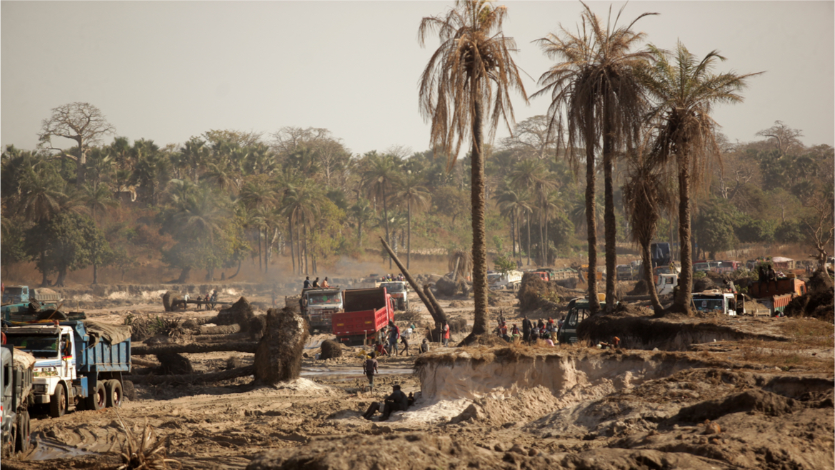 effects of deforestation in africa