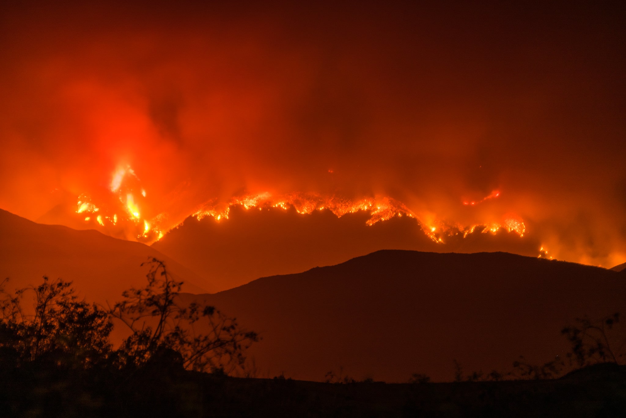 Africa hit hardest as wildfires burn 4.23 m square kilometres per year