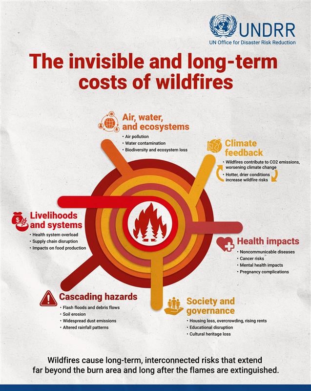 Costs of wildfires