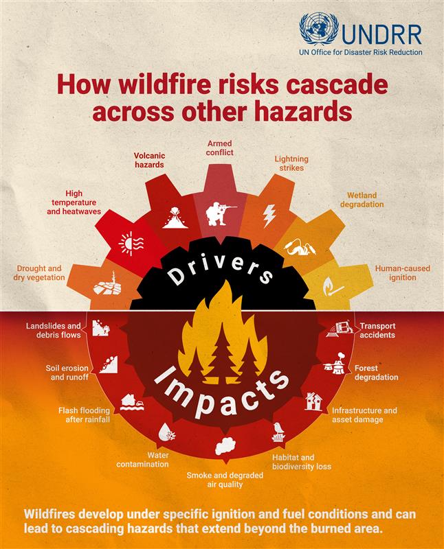 Wildfire risks cascading impacts
