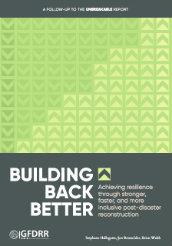 Building Back Better: Achieving Resilience Through Stronger, Faster ...