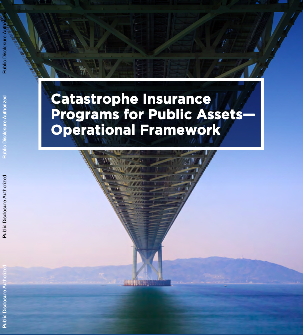 catastrophe-insurance-programs-for-public-assets-operational