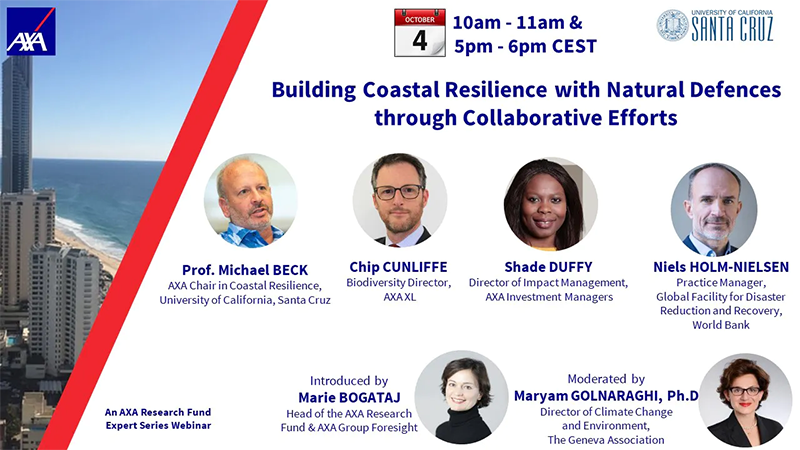 Coastal Resilience and the Role of Nature Based Solutions