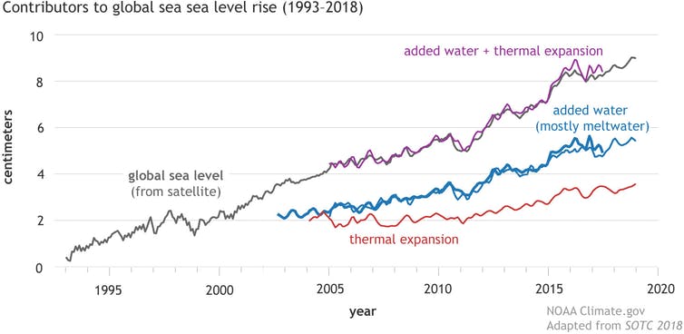 A chart showing the share of factors contributing to global sea level rise