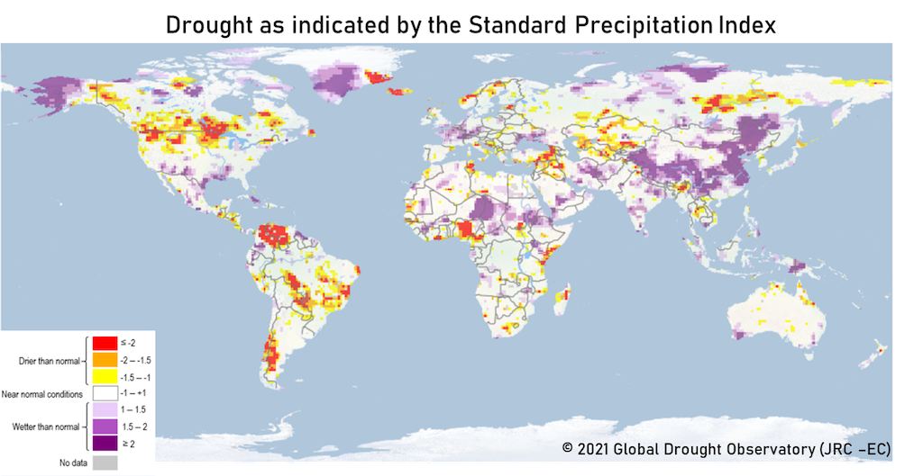 Drought conditions as indicated by the Standard Precipitation Index for August 2021, with red, orange and yellow shading indicating drier than normal conditions, white showing near-normal conditions, and purple showing wetter than normal.