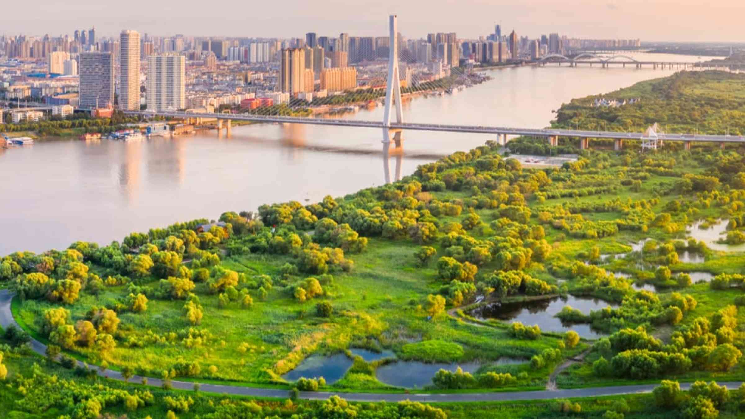 Wetland of the city of Harbin, China