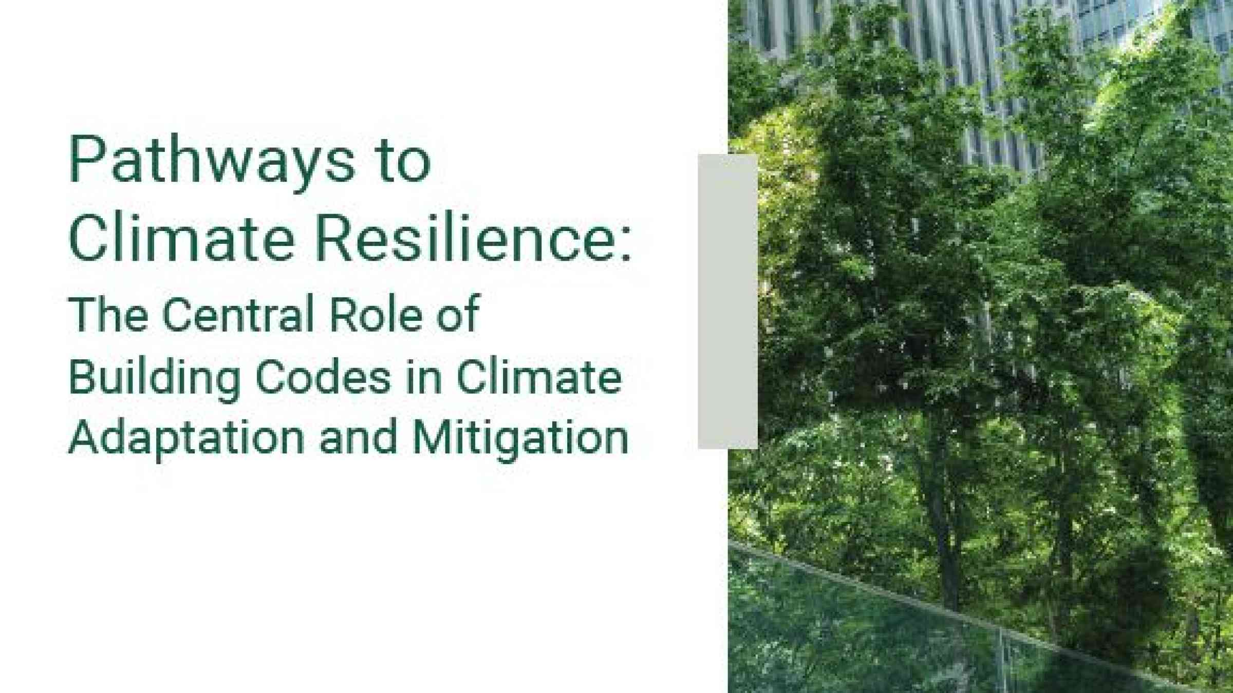 Pathways To Climate Resilience: The Central Role Of Building Codes In ...