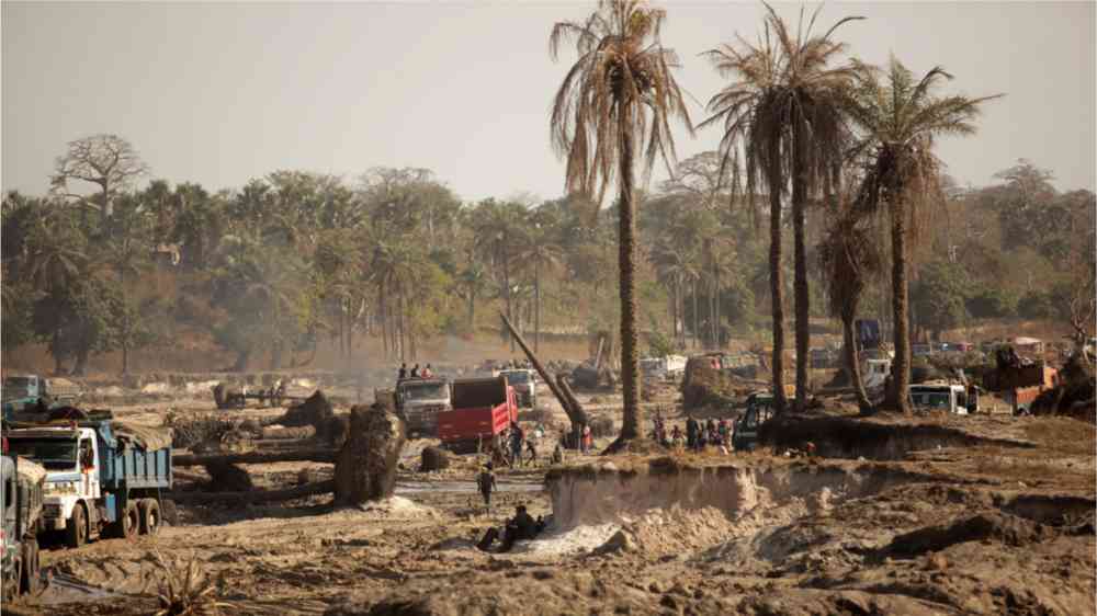 Sambouya, Gambia, Africa, December 15, 2020, horizontal wide angle photography: landscape with sandy ground, many holes, palm trees and sand mining big trucks, with bright sky, outdoors on a sunny day