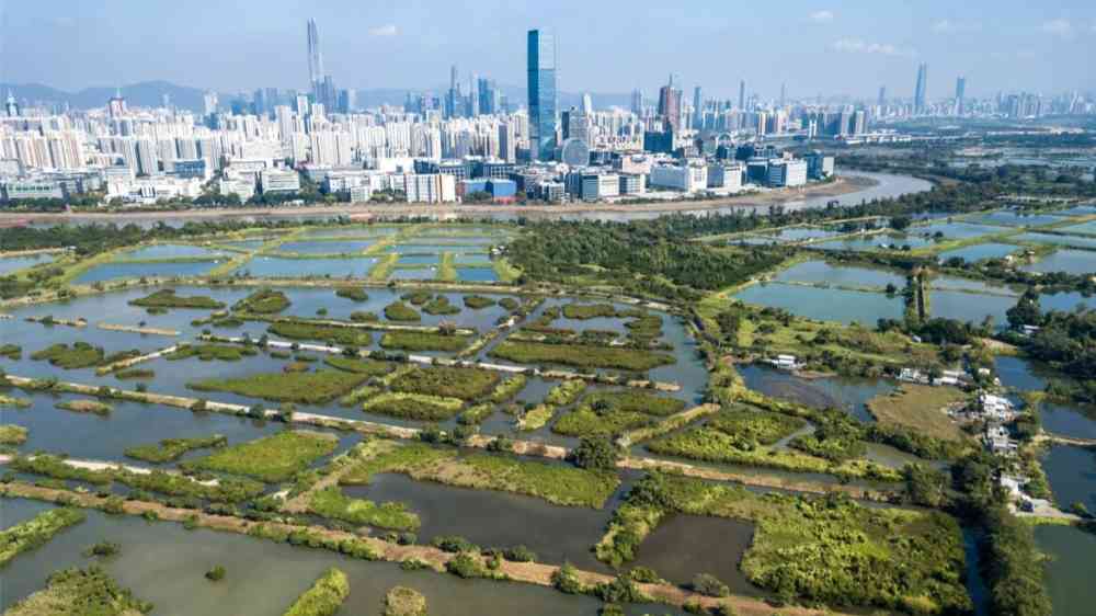 An aerial view of the Mai Po nature reserve beside Shenzen City, China