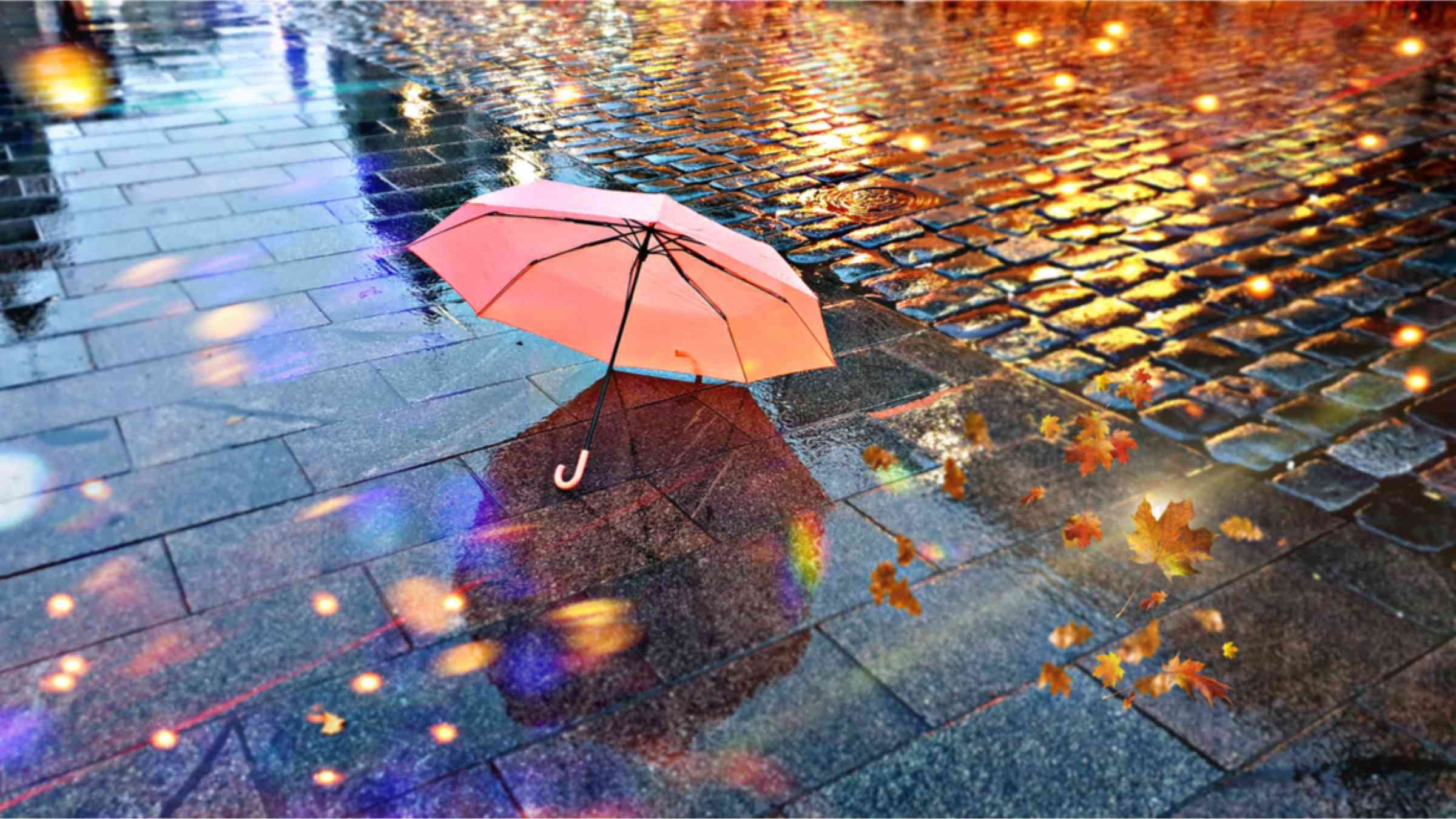 This image shows a pink umbrella laying on a rainy street. Leaves are flying around.
