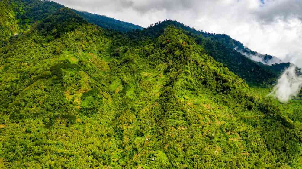 Forested mountain slopes, Banten, Indonesia