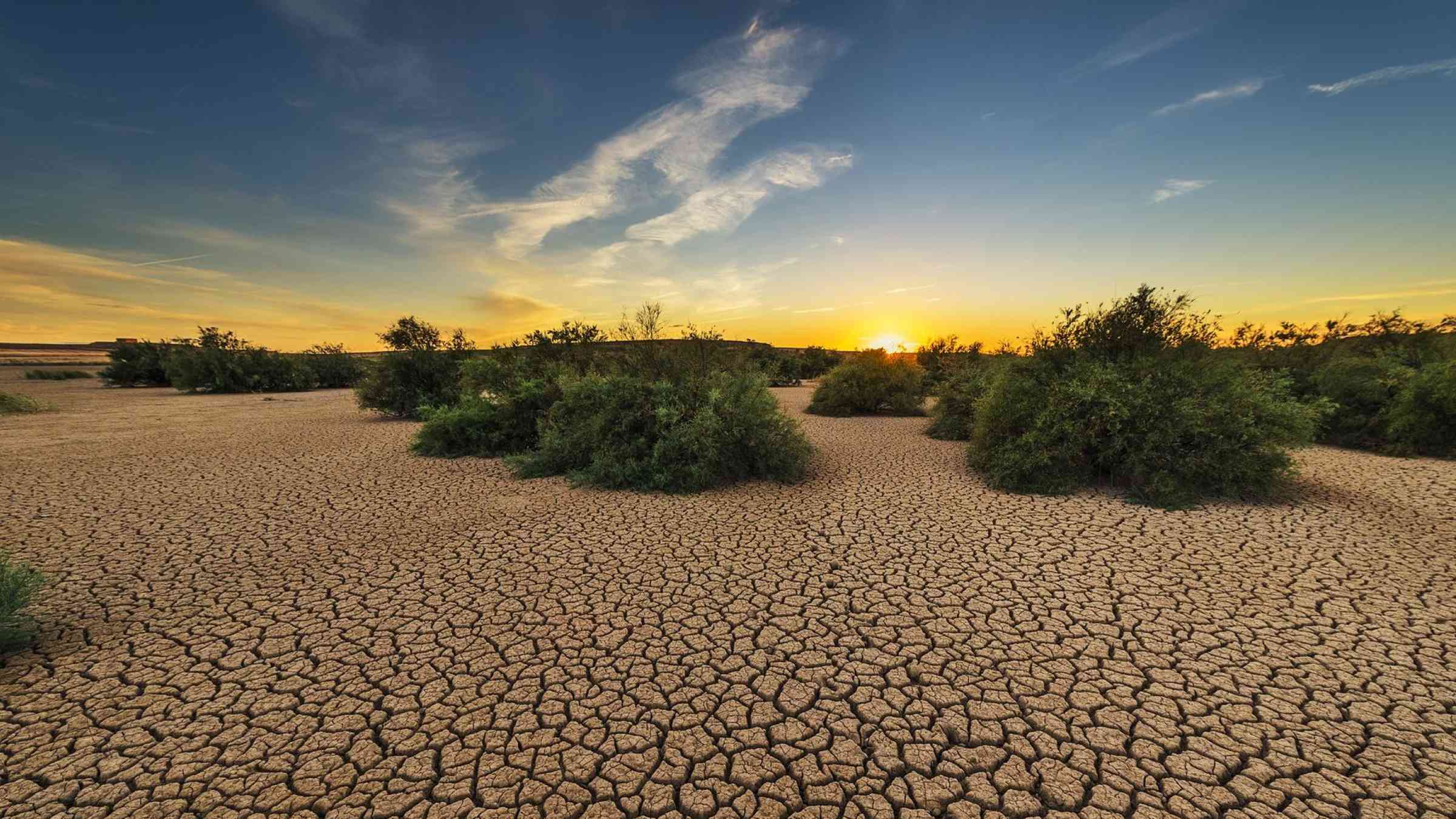 sunset at a drought stricken and arid landscape with shrubs