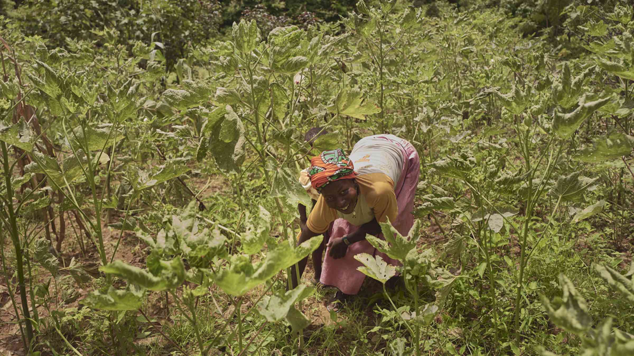 A woman is seen while she tills the soil in a garden in Kaya, Centre-Nord region in Burkina Faso
