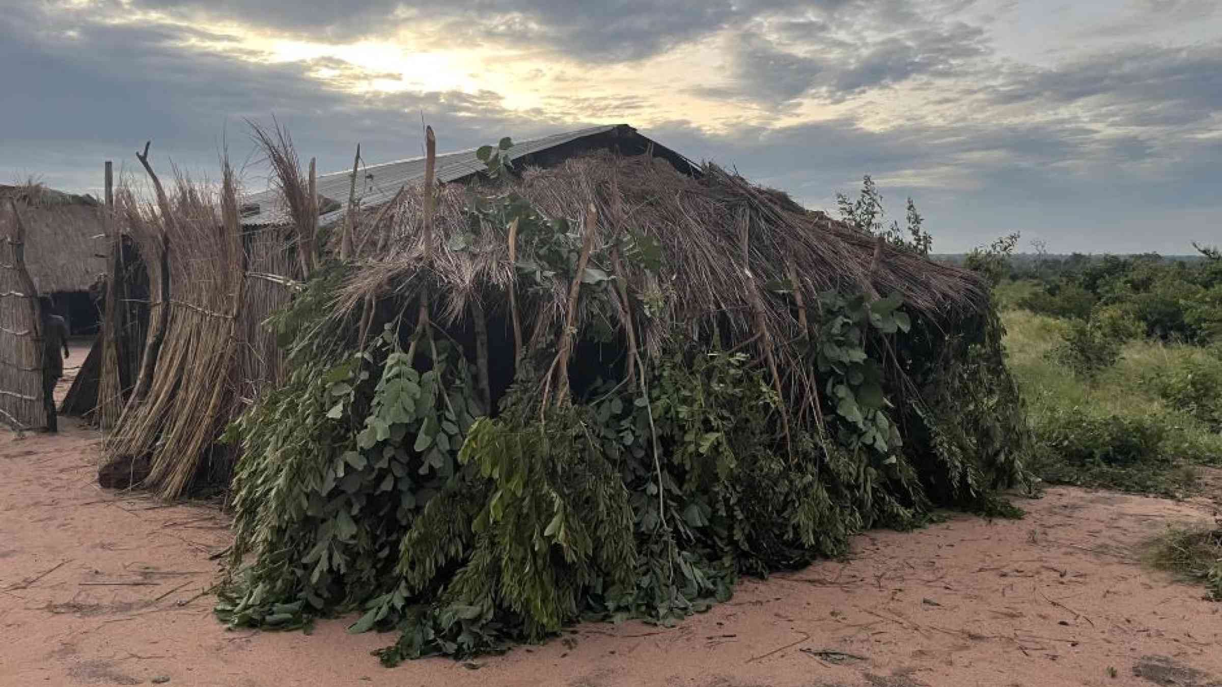 Communities rebuild following Cyclone Freddy in Mozambique