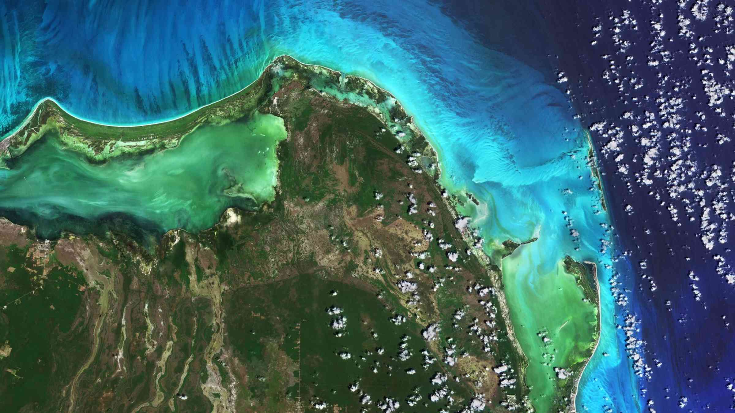 Algal bloom in Cancún, Mexico, seen from space