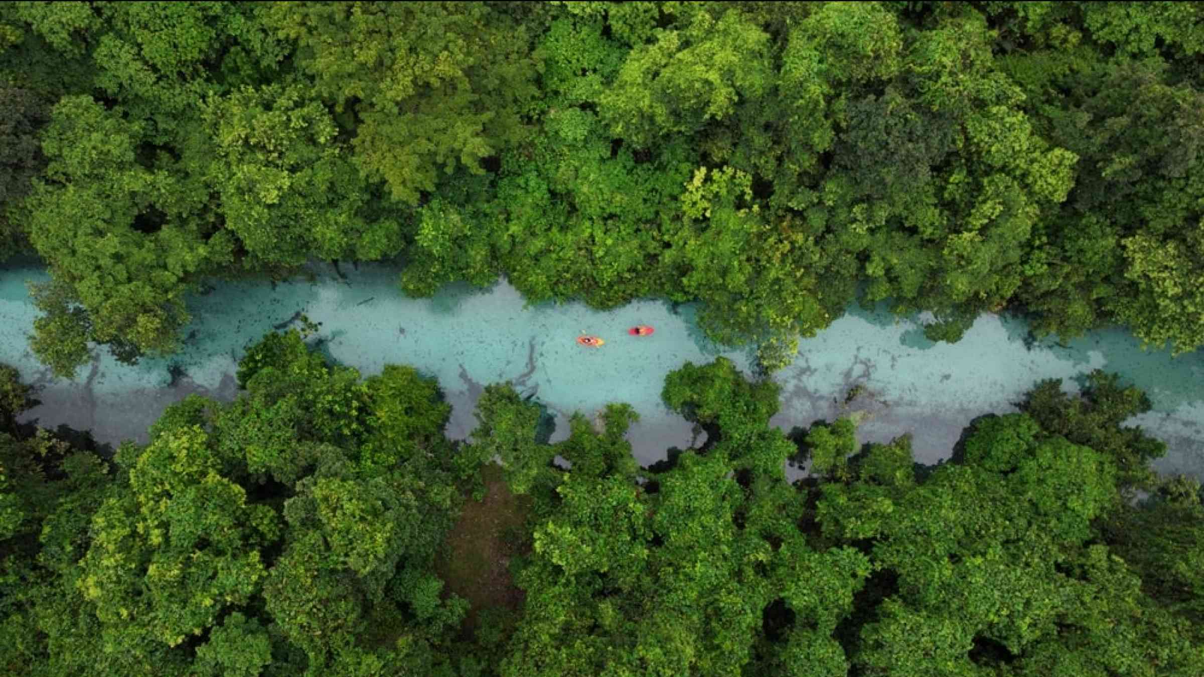 Drone image of a river flowing through a dense forest in Vanuatu.