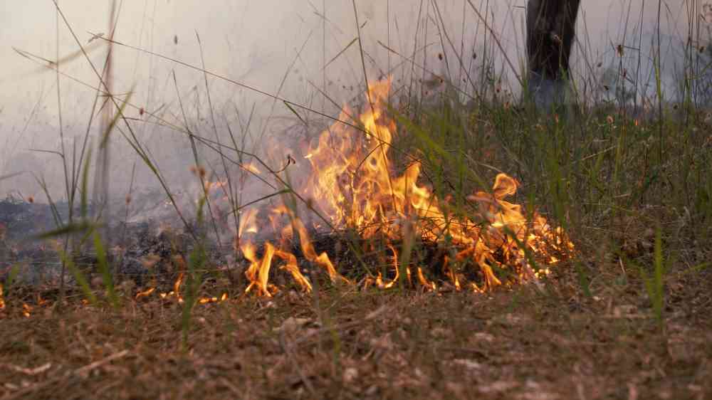 A fire set by a prescribed fire officer in California, USA