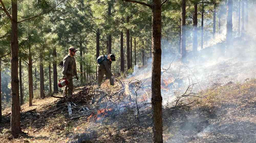 Two prescribed fire officers using prescribed fire in California, USA.