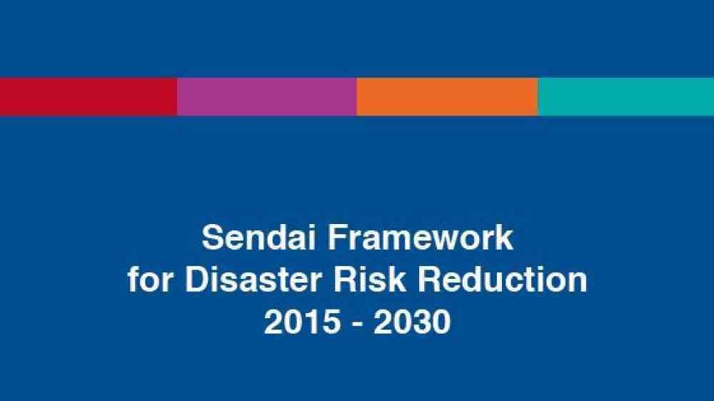 SFDRR cover