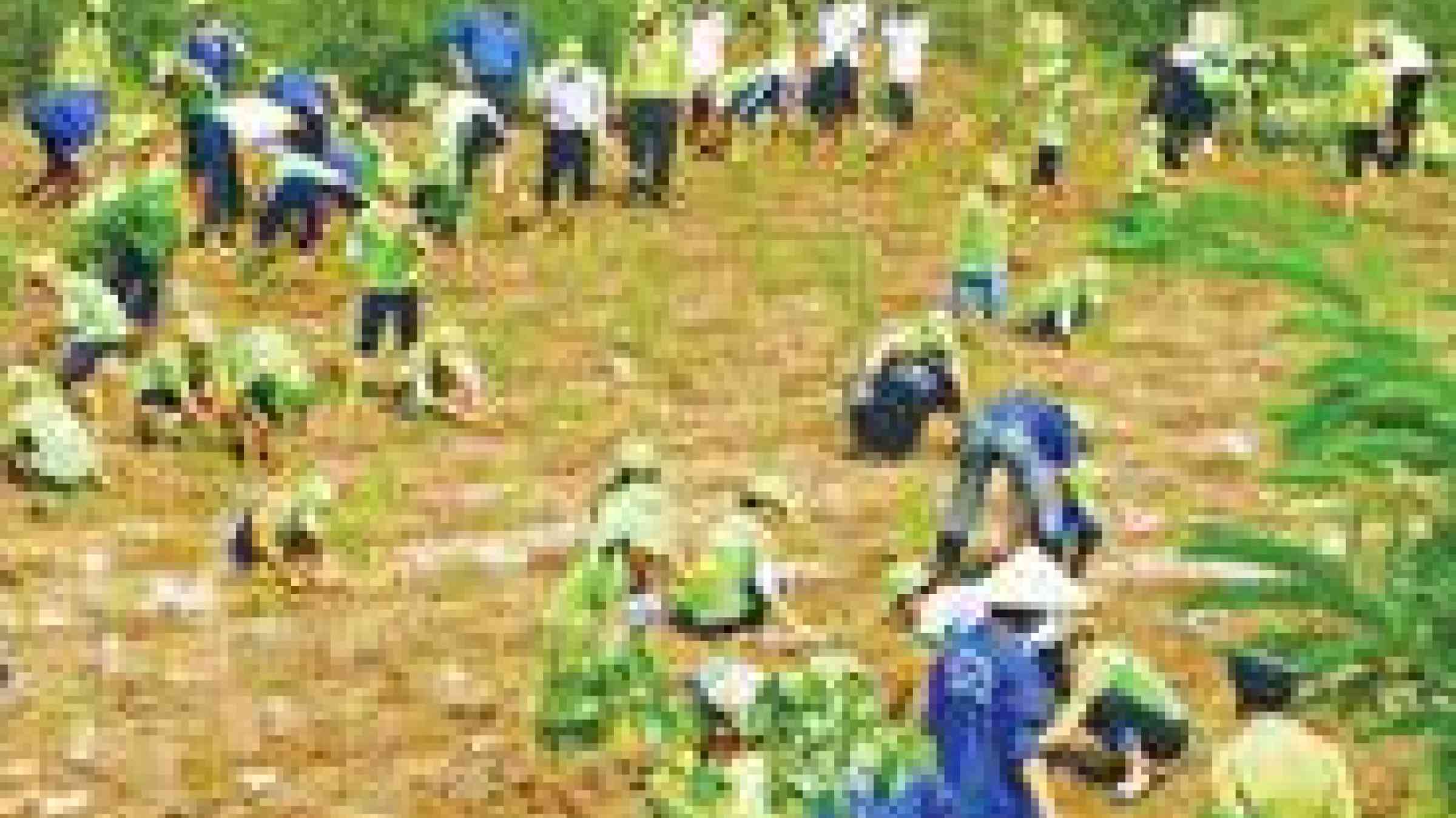 A tree planting program in the southern province of Bac Lieu. The Prime Mintister has approved 61 climate change projects that aim to help the country prepare and adapt to climate change. — VNA/VNS Photo Phan Thanh Cuong