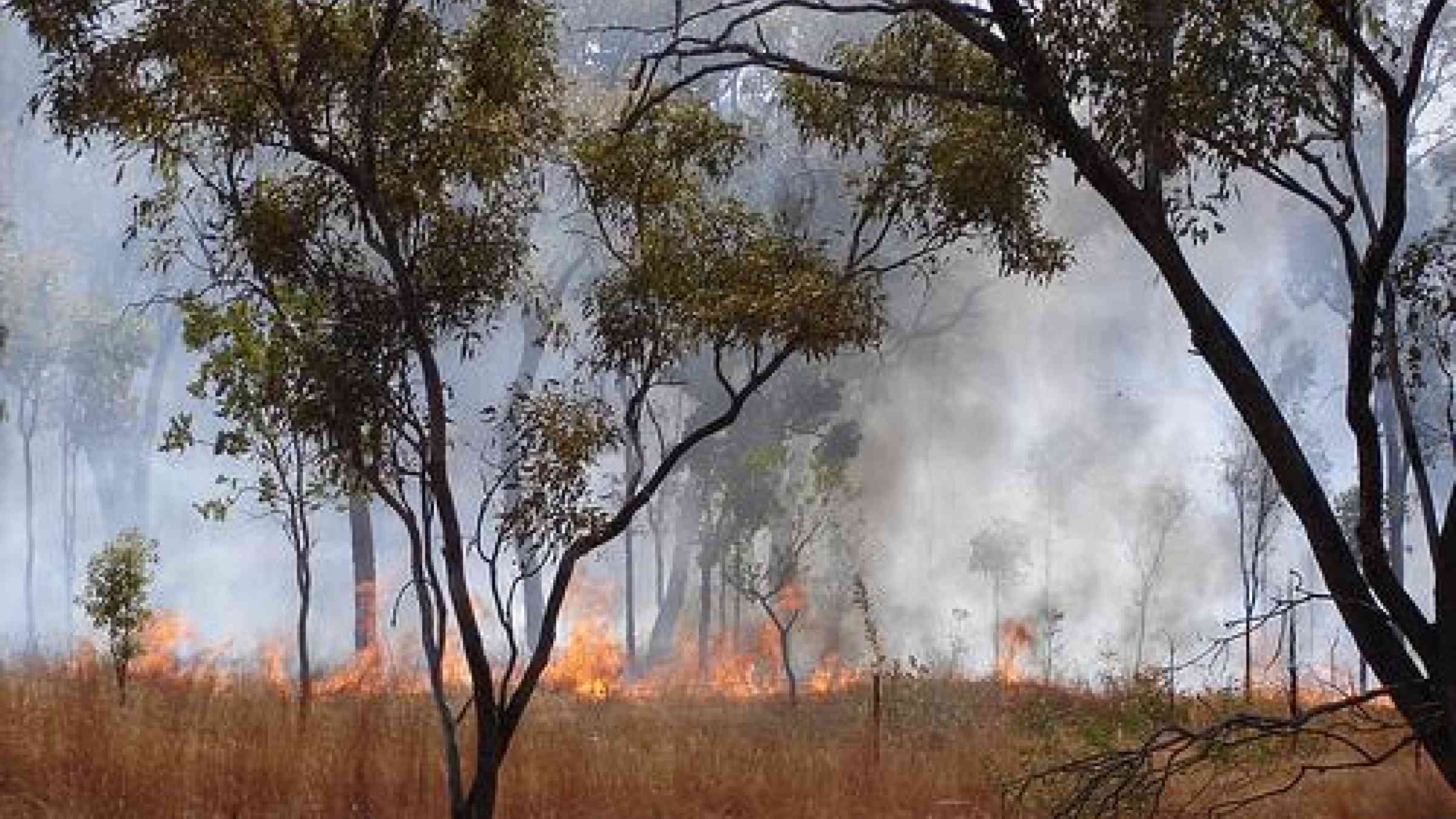 Australian bushfire photo by Flickr user fvanrenterghem, http://www.flickr.com/photos/fvanrenterghem/2642318538, CC BY-SA 2.0