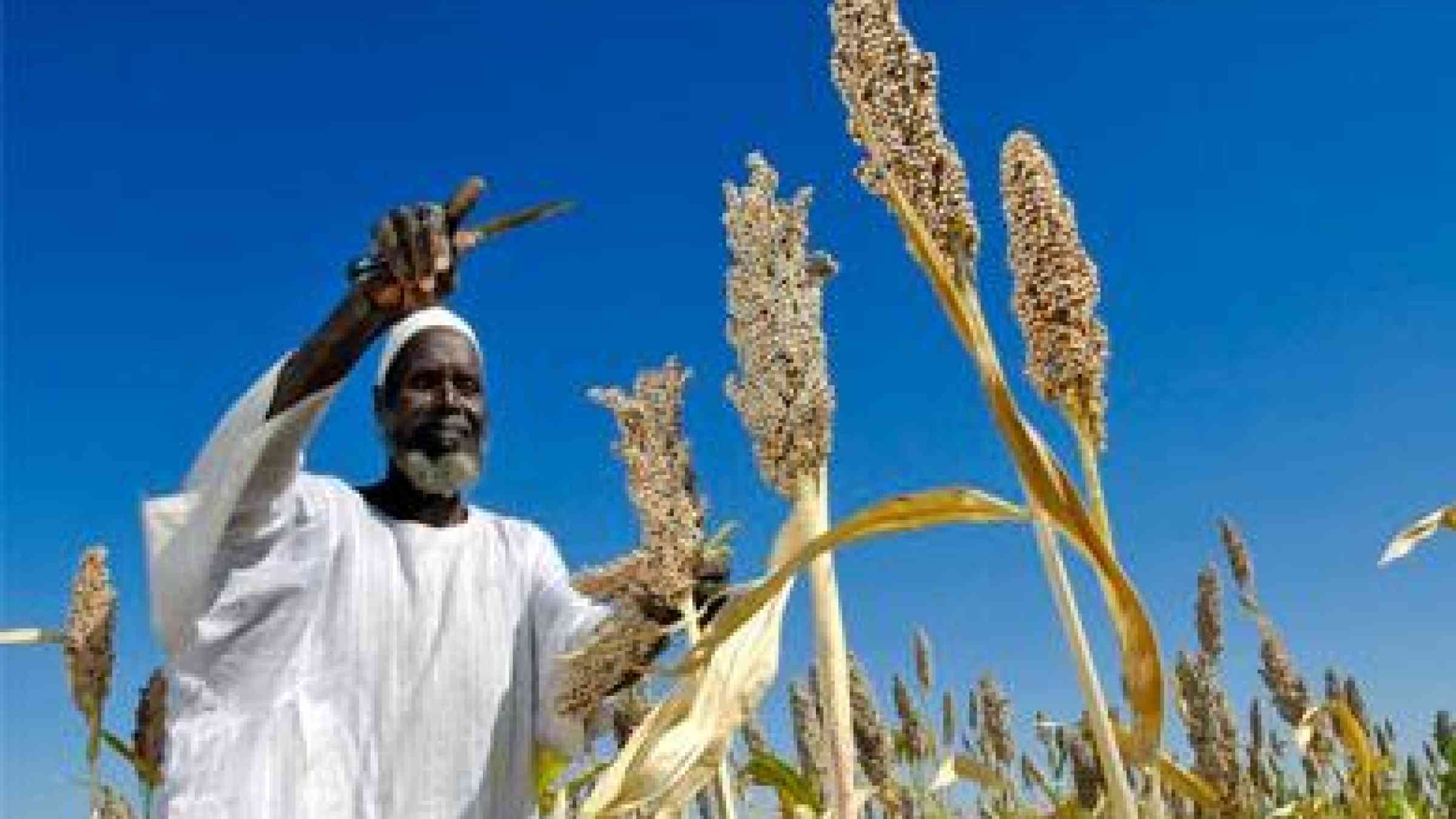 by UN Photo/Fred Noy http://www.pik-potsdam.de/news/press-releases/hotspots-of-climate-change-impacts-in-africa-making-sense-of-uncertainties