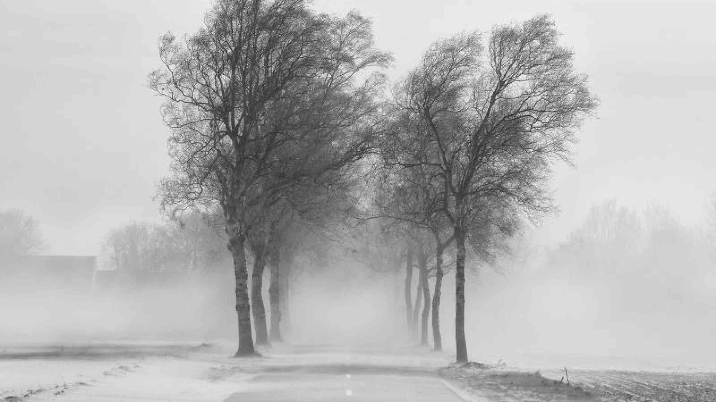 Sand blowing across the fields near Anloo, The Netherlands, photo by flickr user Peter Nijenhuis, CC BY-NC-ND 2.0, https://www.flickr.com/photos/peternijenhuis/8588133413