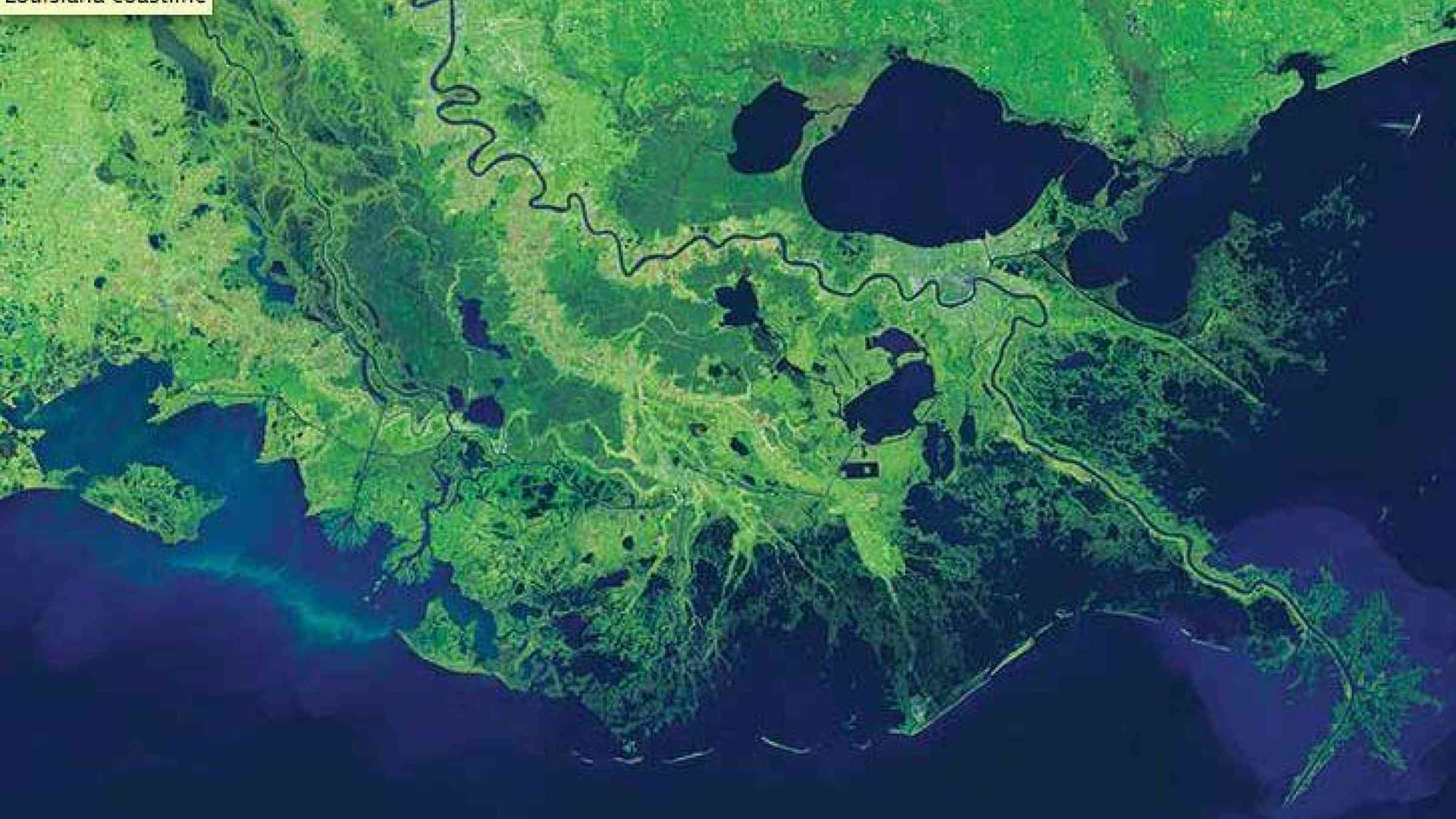 NASA Earth Observatory image from 2014 shows the Mississippi River wending toward the Louisiana coastline. (Image from earthobservatory.nasa.gov)