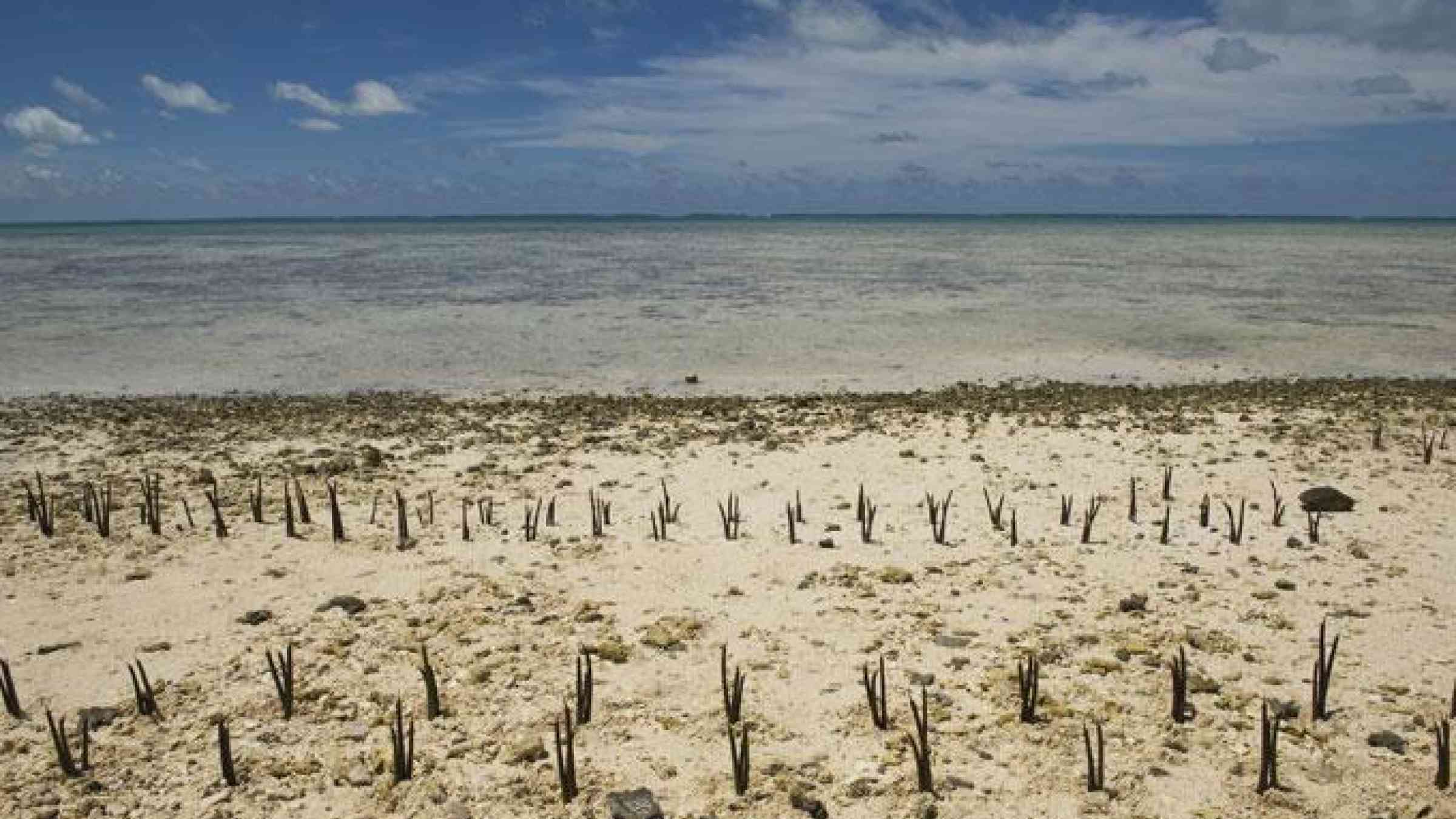 Island Nation of Kiribati Affected by Climate Change UN Photo/Eskinder Debebe