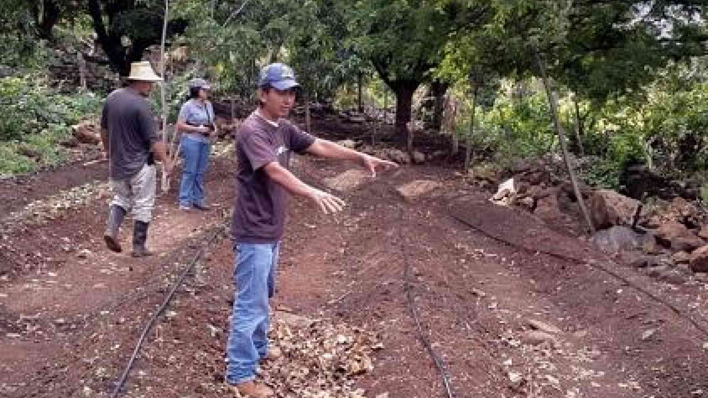 Making farming sustainable and disaster risk-sensitive, for example by improving irrigation, is a key way to reduce hunger (Photo: FAO/Honduras)