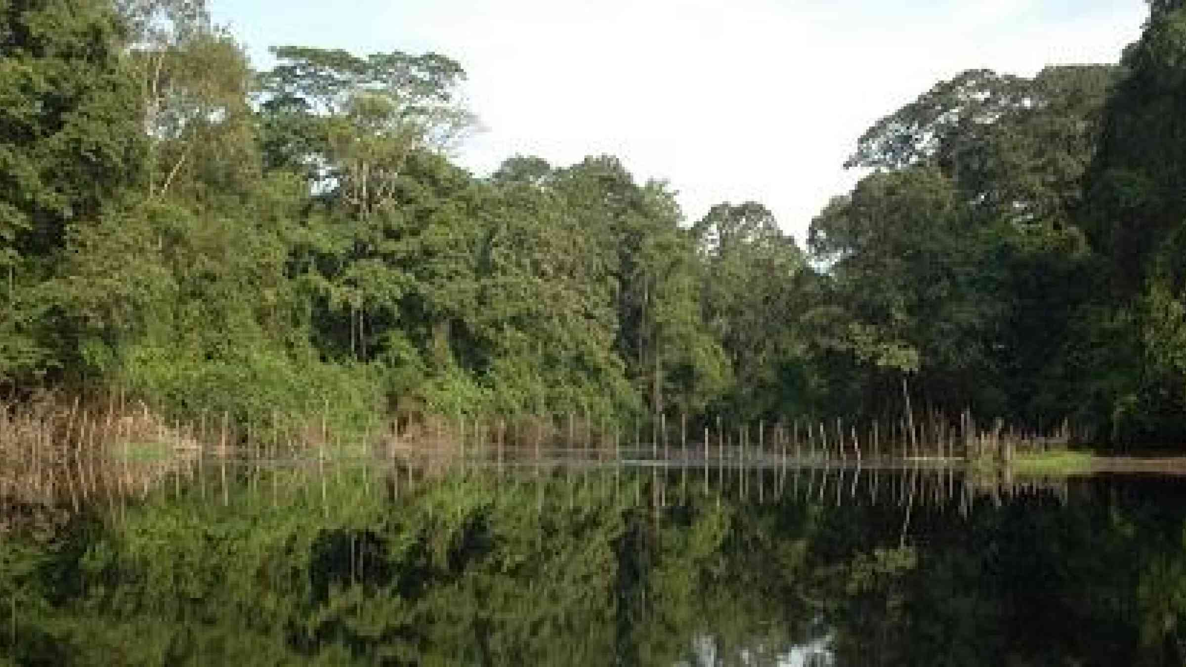 Wetlands form a barrier against hazards such as floods, drought or cyclones, making their protection a key link in the disaster risk reduction chain (Photo: UNEP/Johannes Refisch)