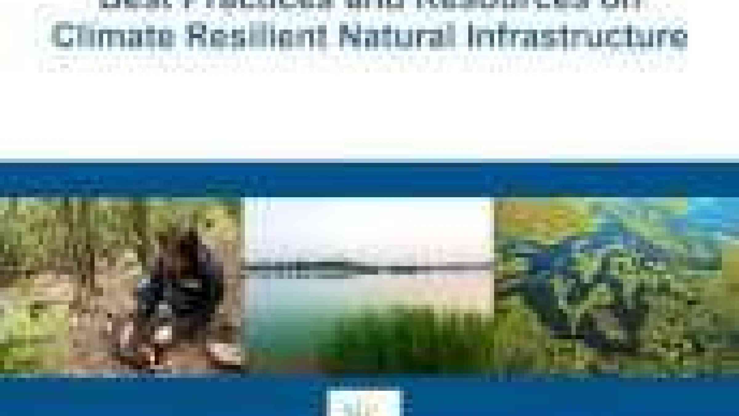 Best Practices And Resources On Climate Resilient Natural ...