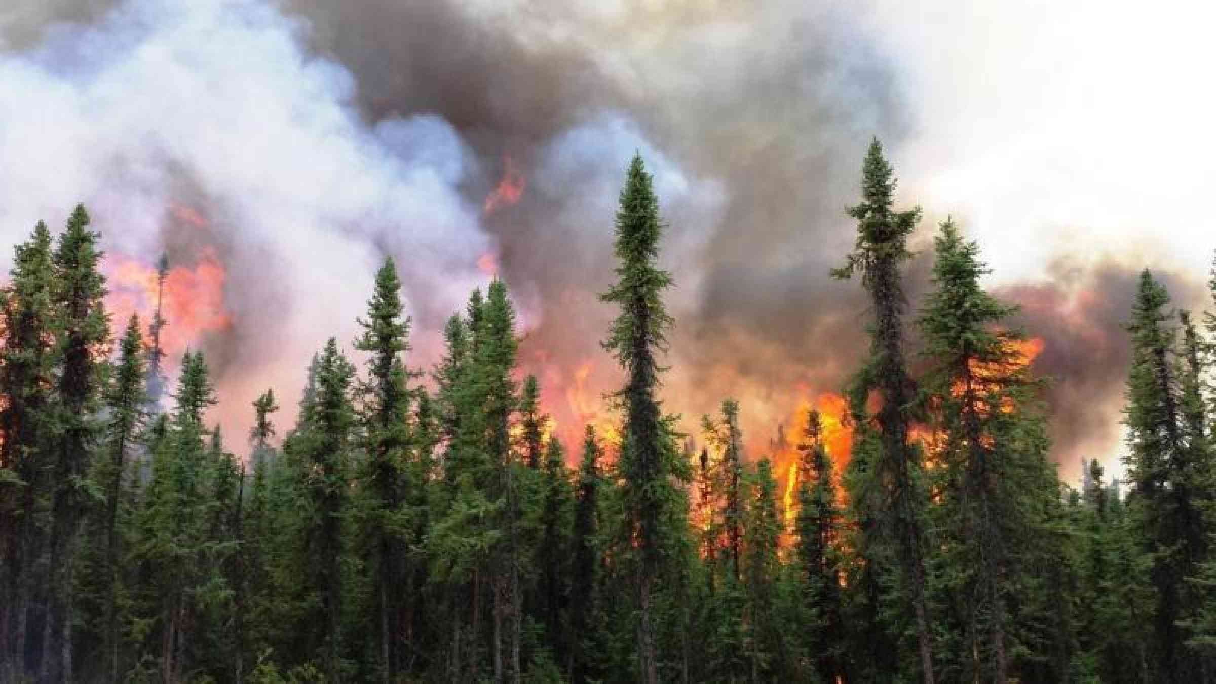 The 2015 Aggie Creek Fire 30 miles northwest of Fairbanks, AK in 2015. Photo by US Department of Agriculture on flickr, CC BY 2.0.