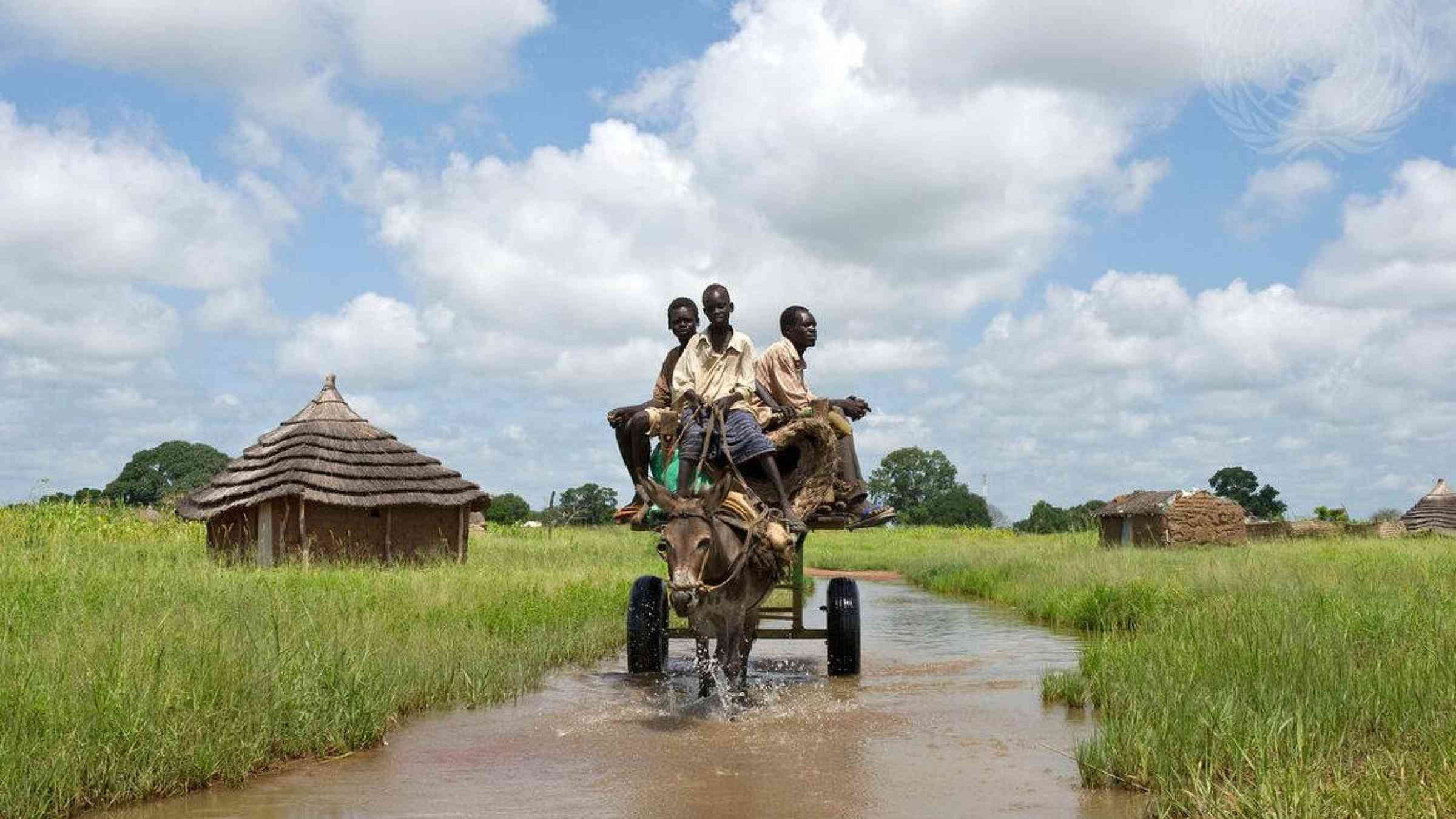 Impact of floods in South Sudan (2012). UN Photo/Staton Winter