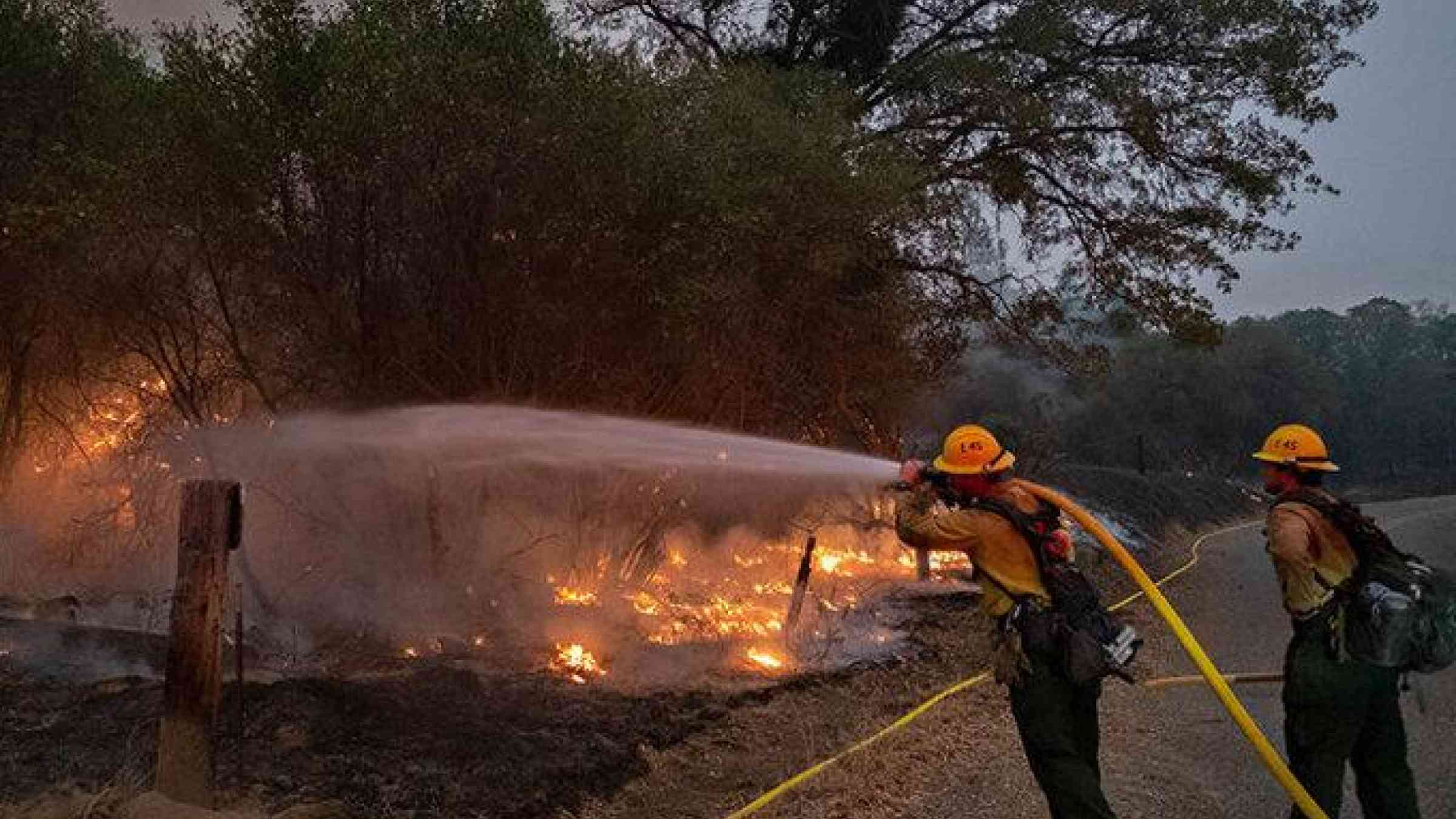 Pacific Southwest Forest Service, U.S. Department of Agriculture