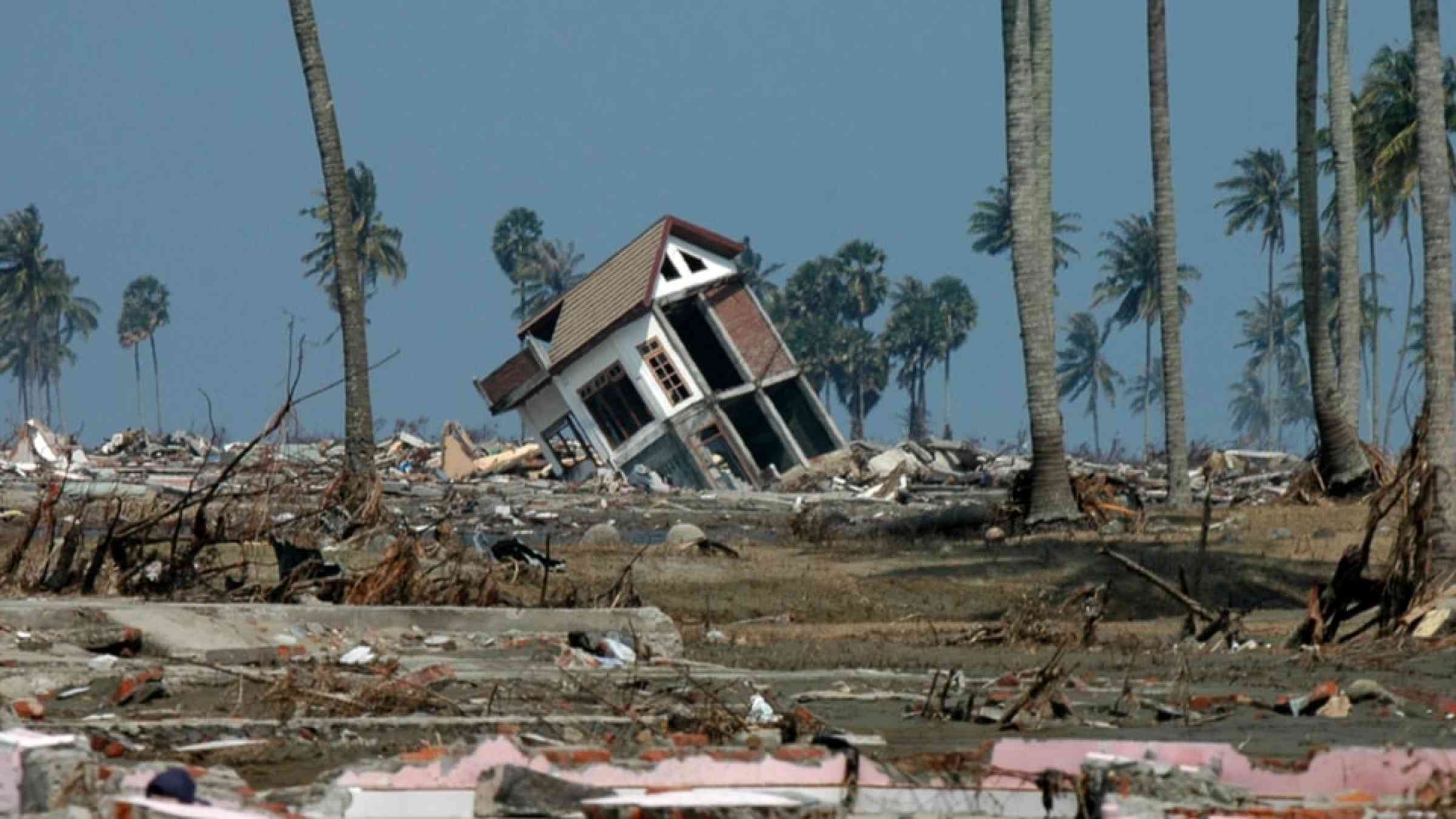 examine the case study of the indian ocean tsunami 2004