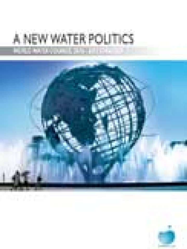 A New Water Politics: World Water Council Strategy 2010-2012 ...