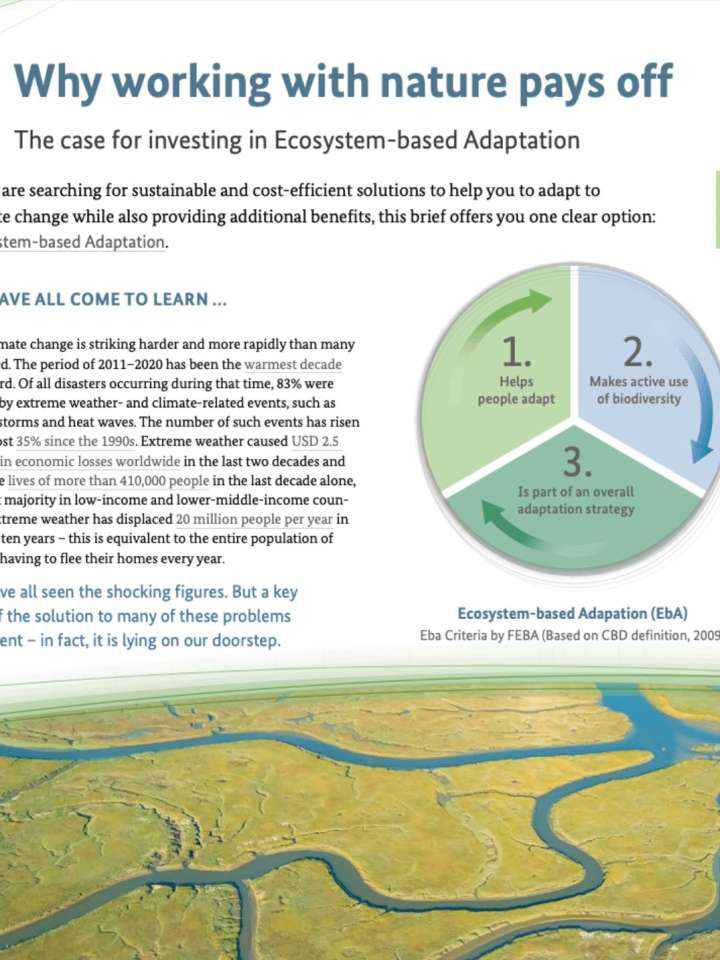 Insuring Nature to Reduce Risk: Risk Transfer Solutions for Coral