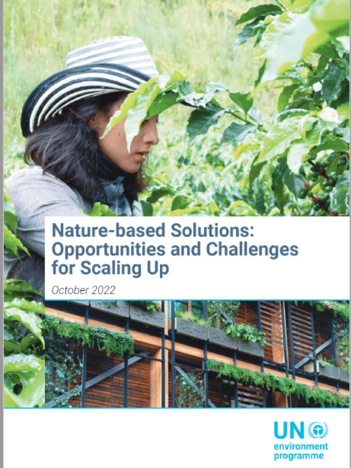 Cover_Pub_Nature-based solutions Opportunities and challenges for scaling up 