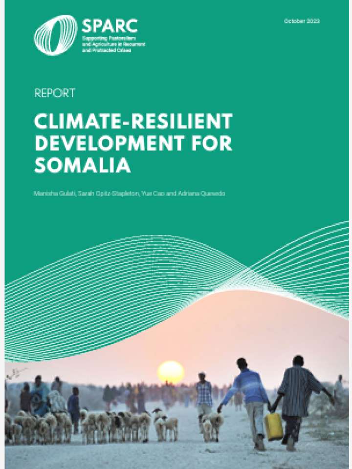 Climate Resilient Development For Somalia PreventionWeb   Cover Sparc  