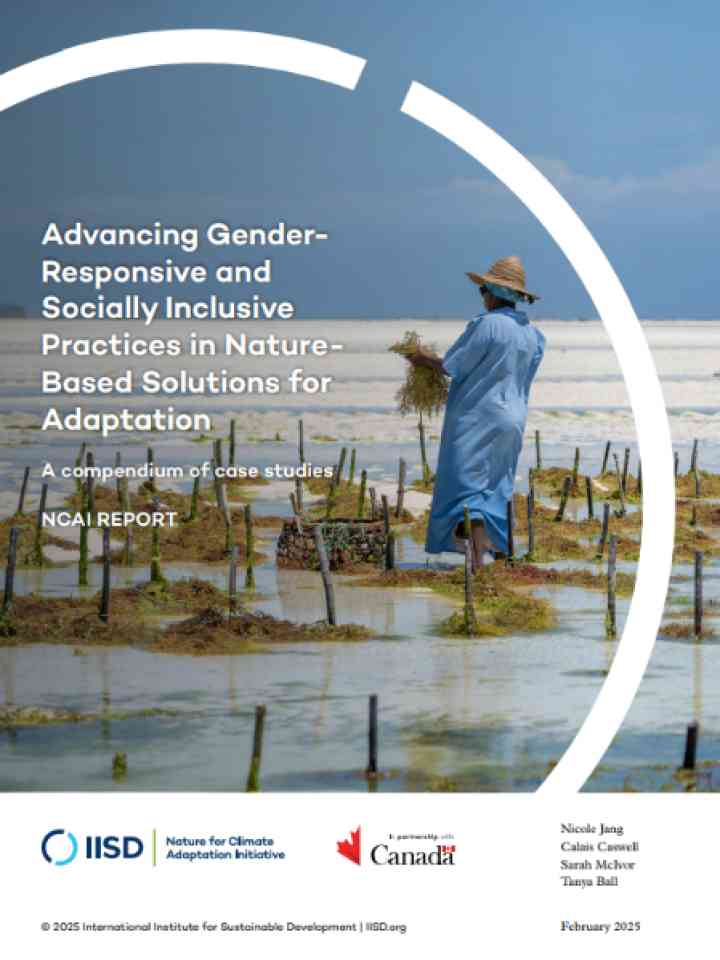 Cover and source: International Institute for Sustainable Development