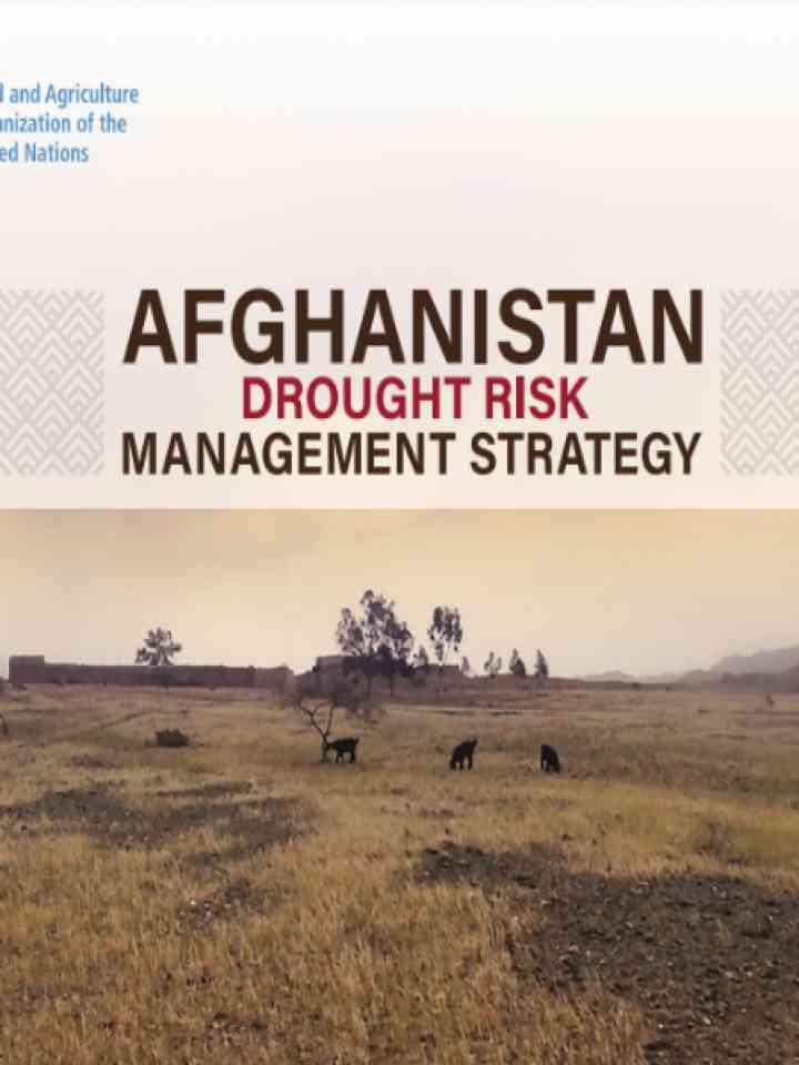 Cover and source: Food and Agriculture Organization of the United Nation