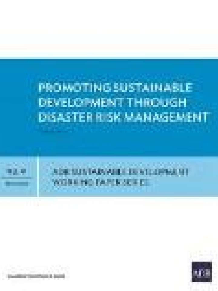 Promoting Sustainable Development Through Disaster Risk Management ...