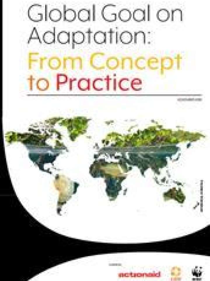 Global Goal On Adaptation: From Concept To Practice | PreventionWeb