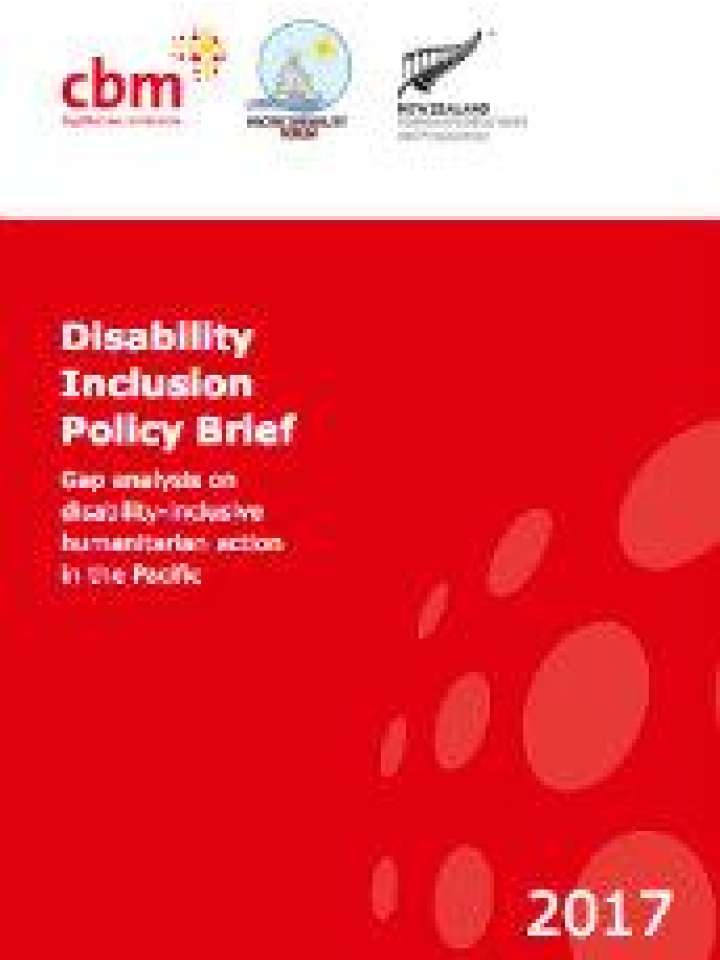 Disability Inclusion Policy Brief: Gap Analysis On Disability-inclusive ...