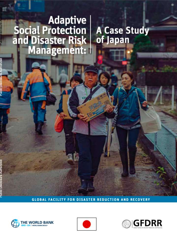 case study on disaster management in japan